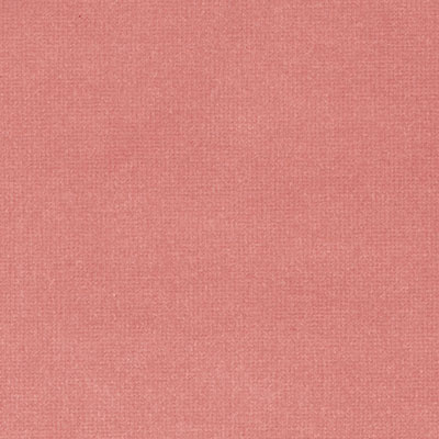 Begoniadusty rose
